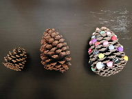 オータム・コンサート_20251113